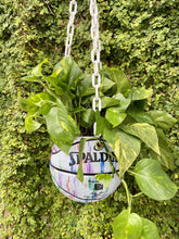 Load image into Gallery viewer, Splatter BB Planter
